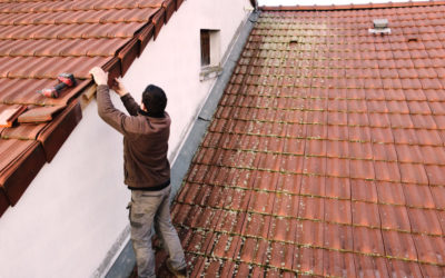 Un professionnel du démoussage toiture à Verdun !