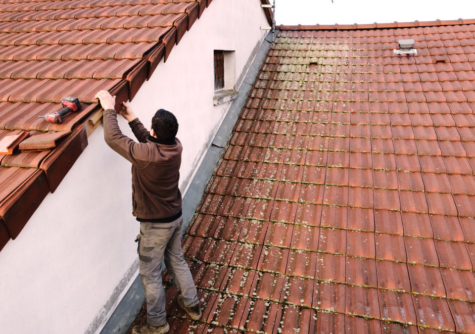 Un professionnel du démoussage toiture à Verdun !