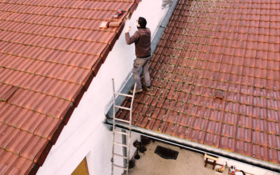Nos prestations de démoussage toiture à Saint-Mihiel